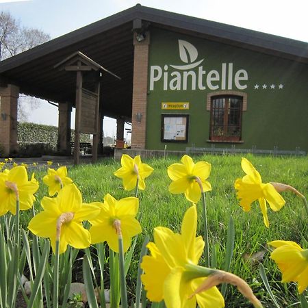 Camping Piantelle Moniga del Garda Exterior photo